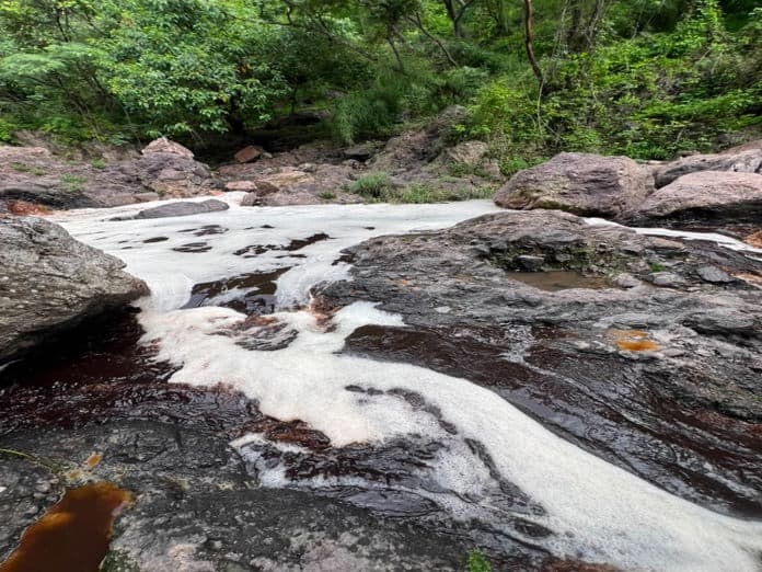 Denuncian que basureros contaminan río Milpillas en Zapopan
