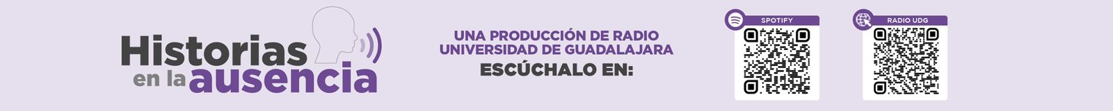 banner publicidad 2