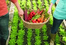 Impulsarán el sector agrícola en la Feria de Jamay con su Expo Agroalimentaria 2025
