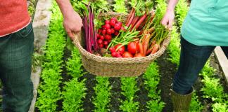 Impulsarán el sector agrícola en la Feria de Jamay con su Expo Agroalimentaria 2025