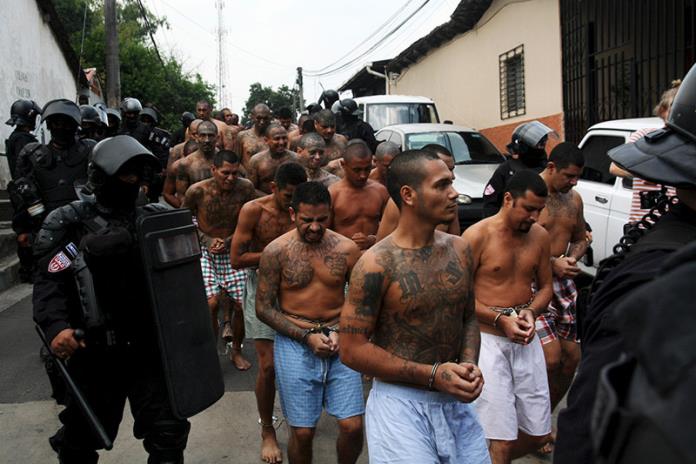 Policía de El Salvador detiene a seis líderes de pandilla Mara Salvatrucha