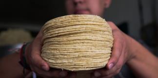 Cuatro de cada diez tortillas que consumimos no están hechas con maíz mexicano