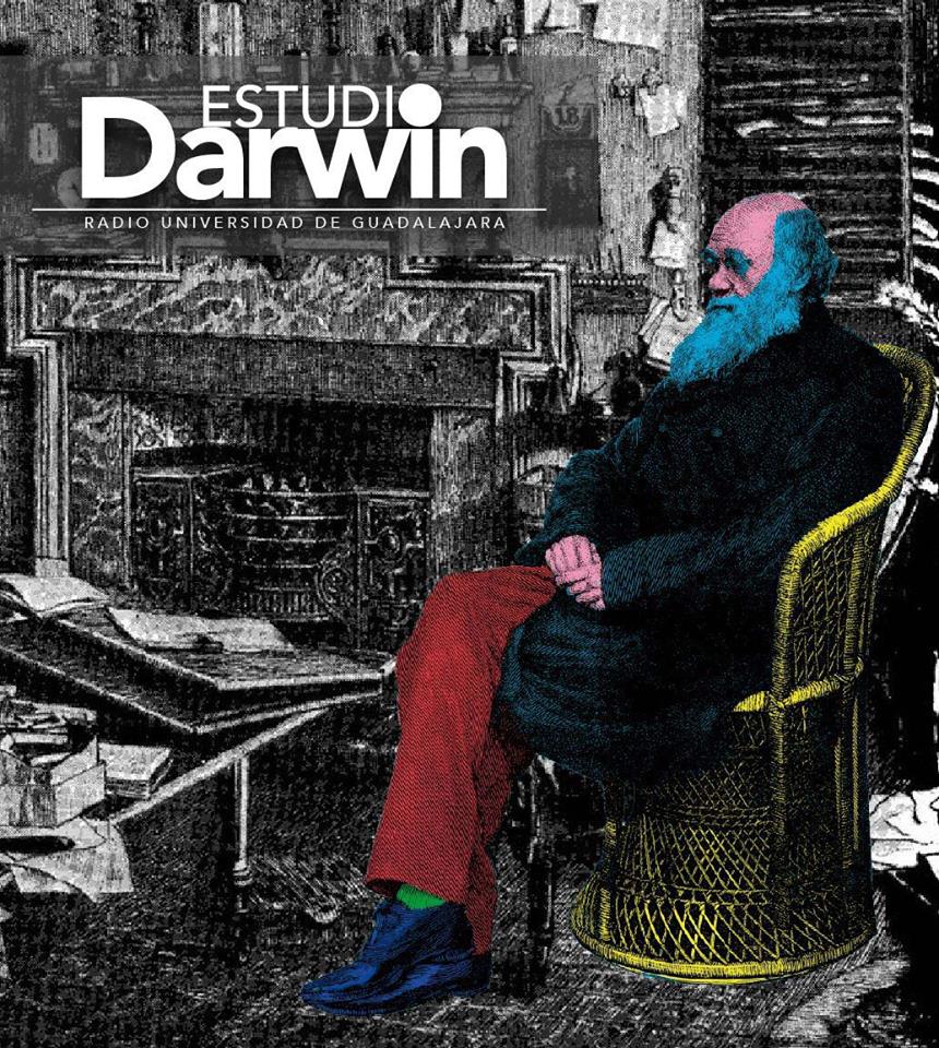 Estudio Darwin - 06 Abr 2019