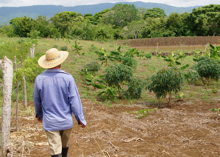 Campesinos mexicanos que llegan a EE.UU. crean un bosque de maletas de esperanza