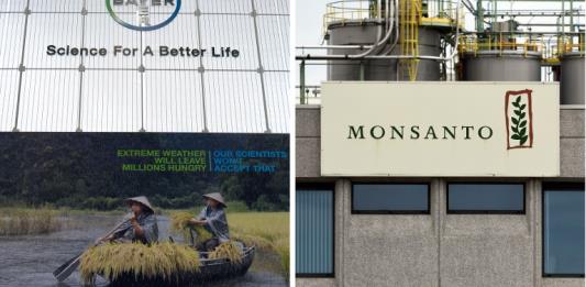 Bayer cierra la compra de Monsanto y apuesta por la agricultura intensiva