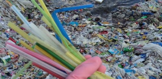 Presentan iniciativa para suplir los popotes, bolsas de plástico y el unicel en Jalisco