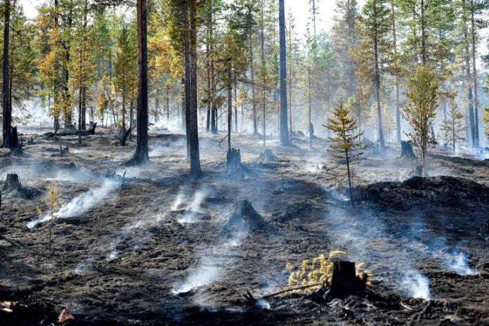 Tapatíos culpan a la contaminación e incendios forestales por la falta de lluvias
