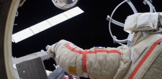 Comienza proyecto ruso-alemán para observar animales desde el espacio