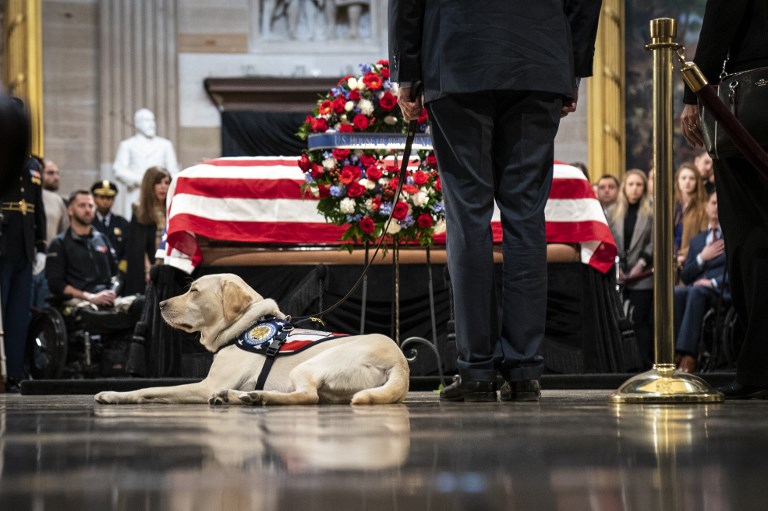 homenaje George H.W. Bush 