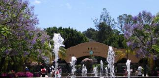 El Zoológico Guadalajara celebra cumpleaños con premio y entradas a un peso