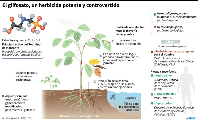 herbicida glisofato Francia