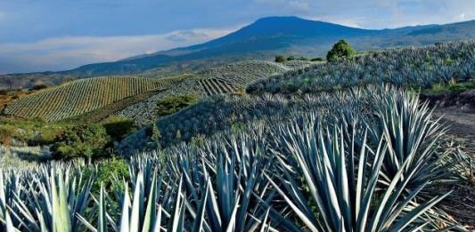 La UE protege el tequila de México