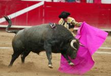 Ciudad de México plantea prohibir corridas con muerte o maltrato de toros