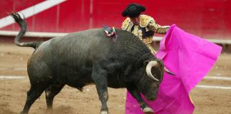 Ciudad de México plantea prohibir corridas con muerte o maltrato de toros