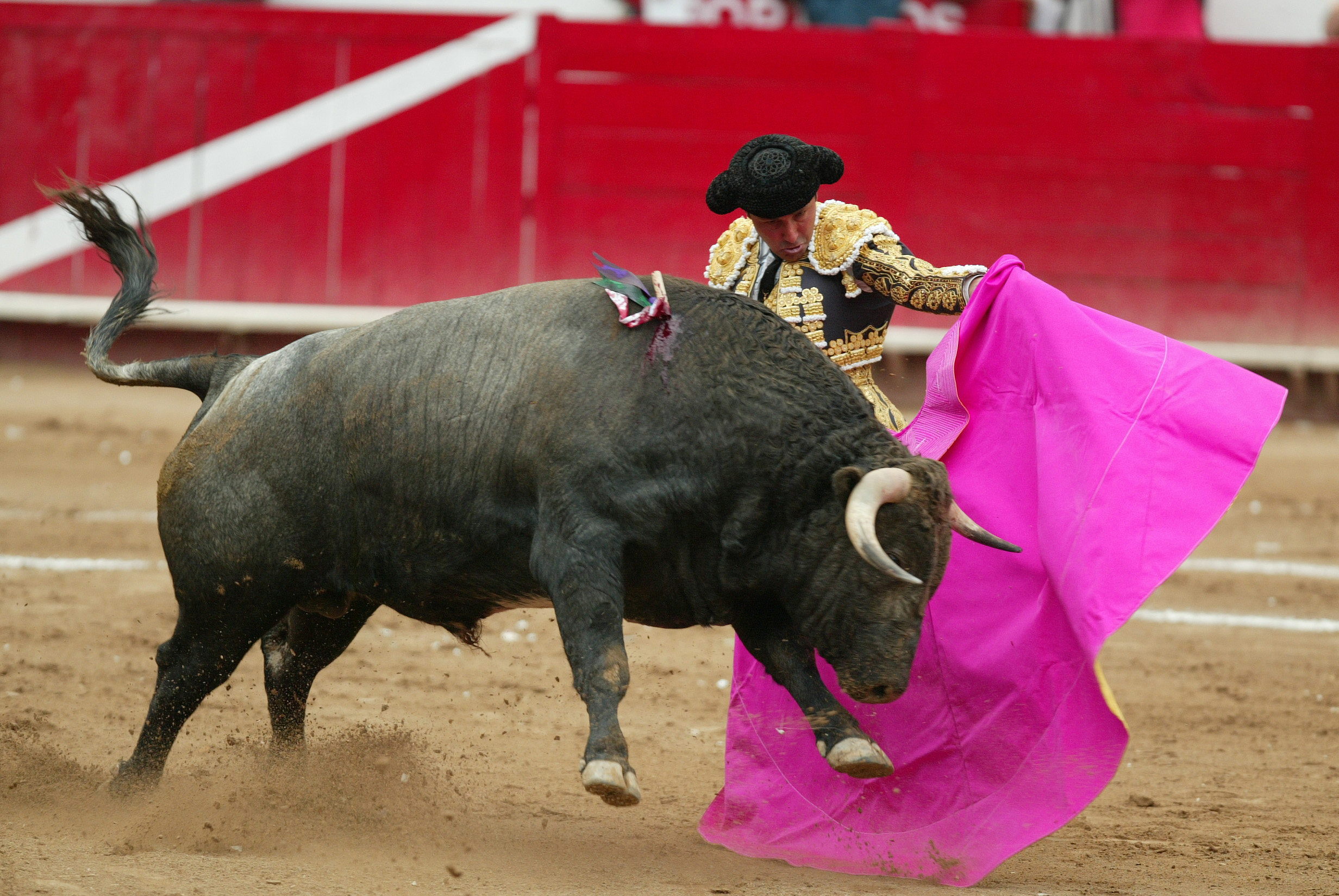 Ciudad de México plantea prohibir corridas con muerte o maltrato de toros