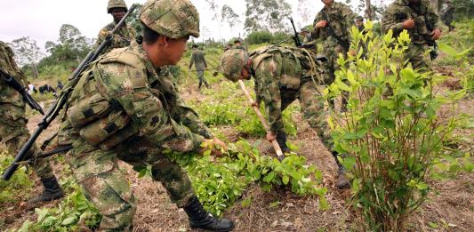 Cultivos de coca en Colombia bajan en 2018 por primera vez en 6 años: EEUU