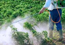México prohíbe el uso de 35 moléculas plaguicidas altamente peligrosas