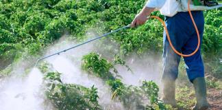 México prohíbe el uso de 35 moléculas plaguicidas altamente peligrosas