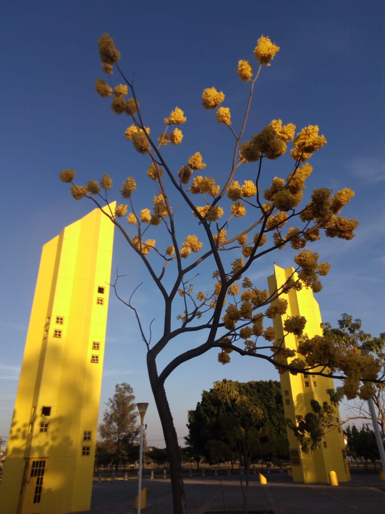 Parque Metropolitano: una opción en Semana de Pascua para divertirse desde la ciudad