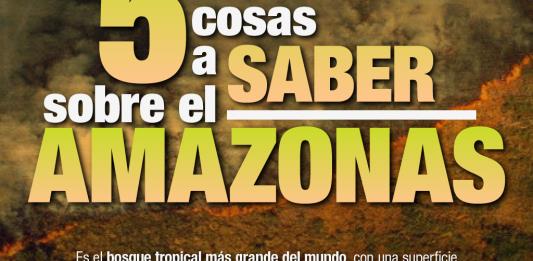 Cinco cosas a saber sobre la Amazonia