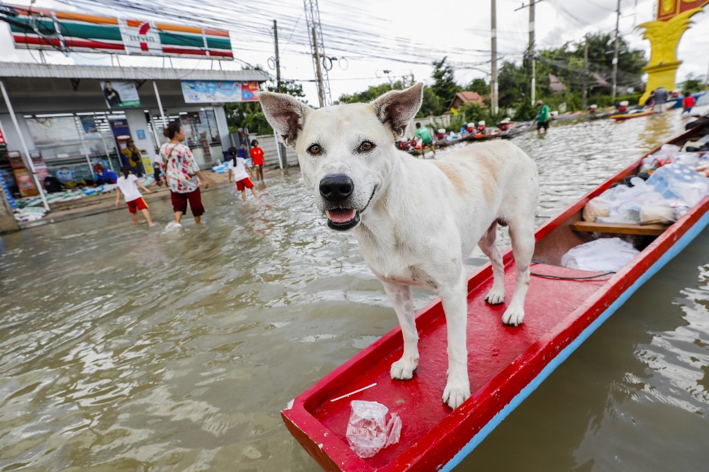 tailandia inundaciones 2019