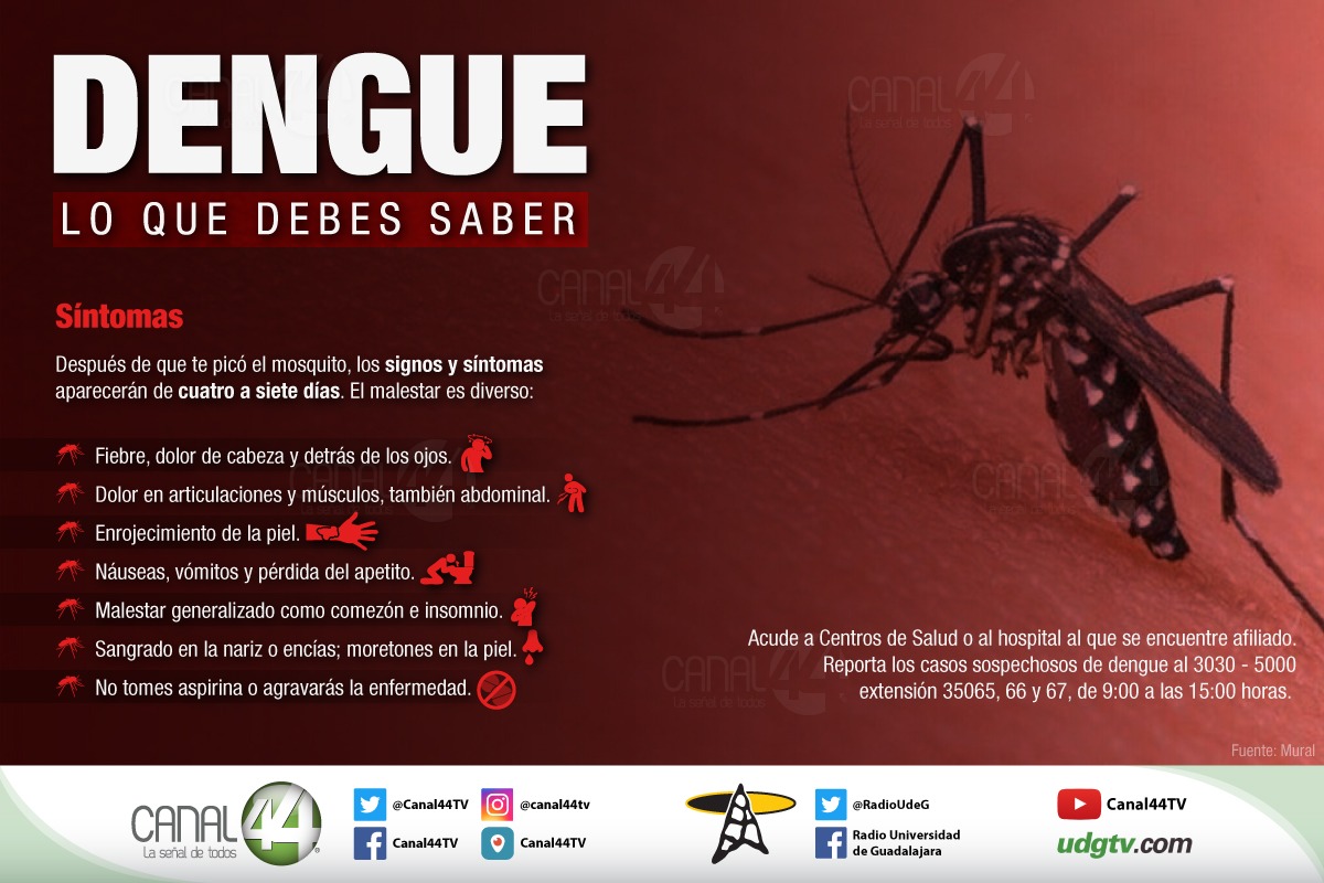 UdeG dengue