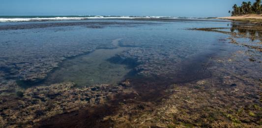 Manchas de petróleo llegan a playas paradisíacas de Brasil