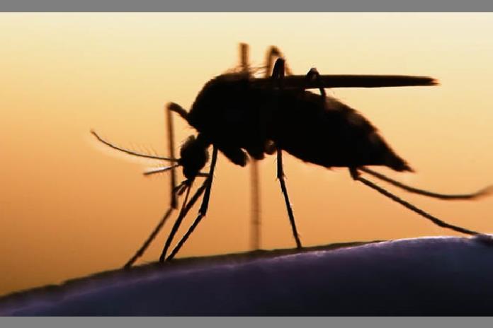 Realizan campaña contra el dengue en Chapala