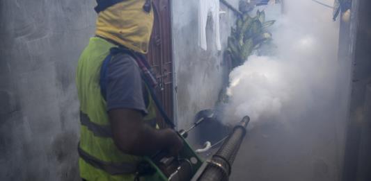 SSJ reitera que insecticida utilizado contra dengue está vigente