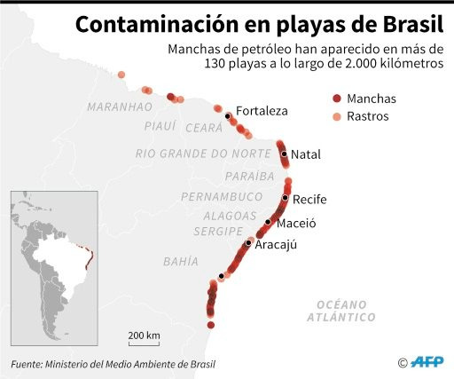 ballenas en Brasil