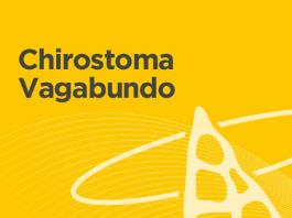 Chirostoma Vagabundo | 18 de octubre