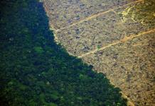 Denuncia contra entidades financieras francesas por apoyar la deforestación en Brasil