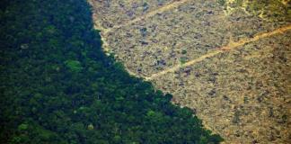 Gobierno brasileño envía ayuda humanitaria a Amazonas ante sequía extrema