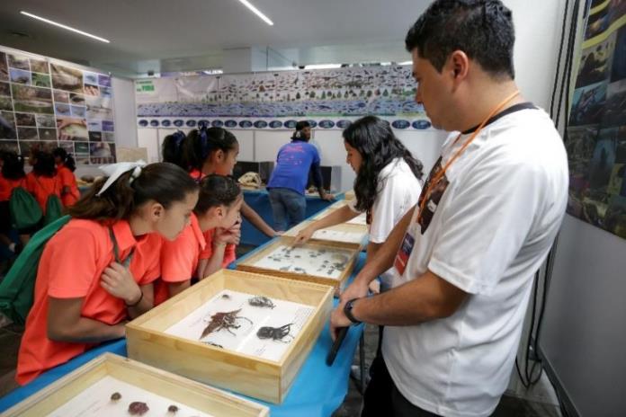 Festival Papirolas visitará primarias en la ZMG