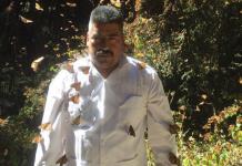 ONG advierte que 84 defensores del medio ambiente han sido asesinados en México desde 2016