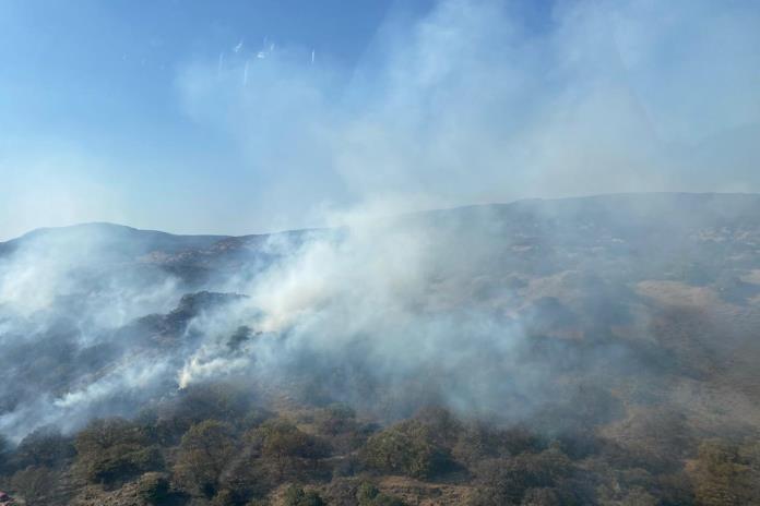 Bomberos de Zapopan atienden incendio forestal en la Primavera