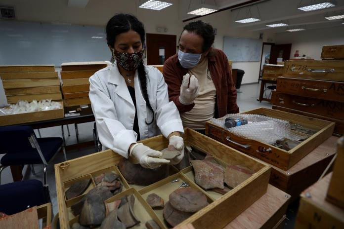 Miles de piezas arqueológicas de una cultura de 5.000 años retornan a Ecuador