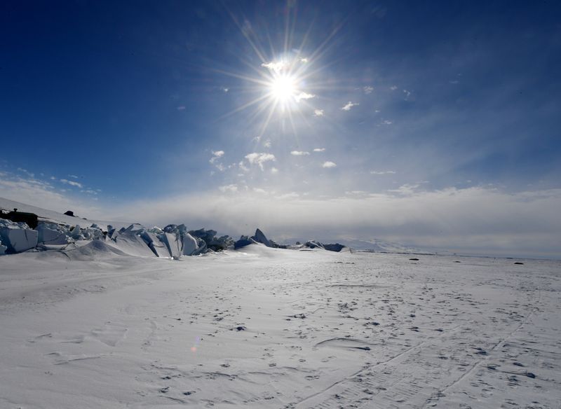 Descubren en Antártica bacterias que descomponen contaminantes para luchar contra el frío