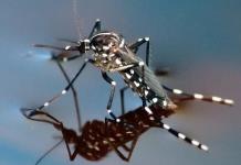 Casos de dengue suben un 385 % en México y la alerta crece ante la temporada de huracanes