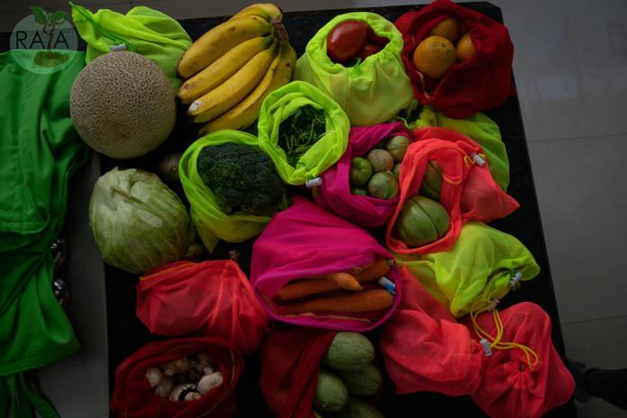Emprendedor autlense crea sistema de reparto ecológico de frutas y verduras