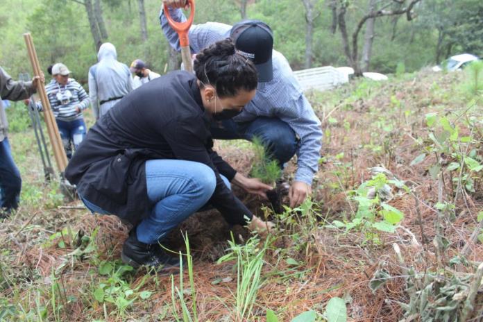Zapotlán el Grande realiza reforestación en el Parque Ecológico “Las peñas”