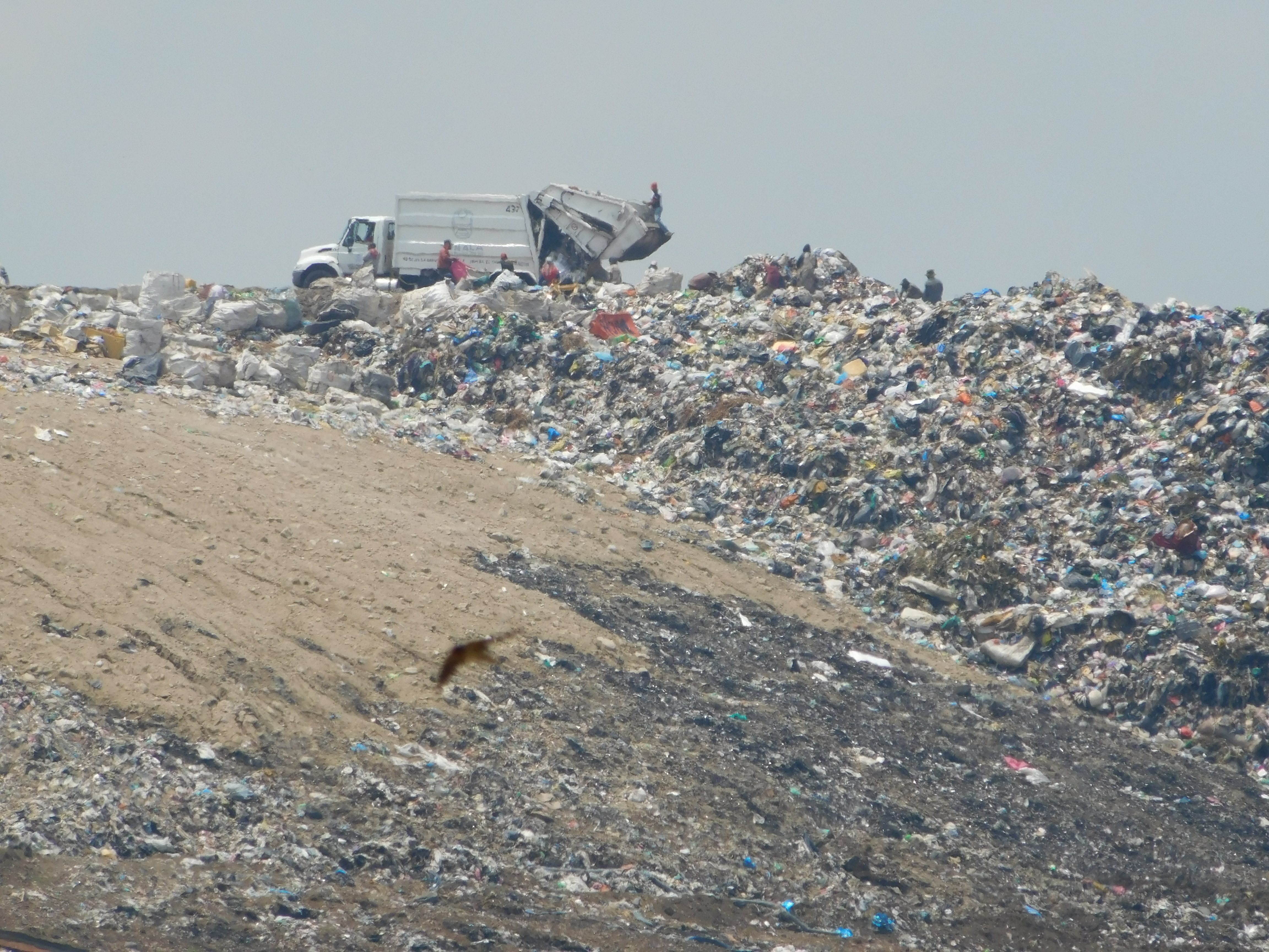 Remediación lenta en Los Laureles: apenas 8% de progreso tras cinco meses de trabajos