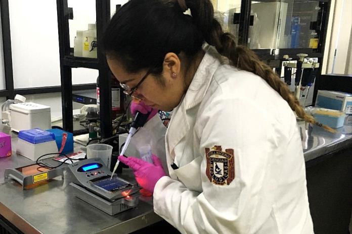 Mexicanos buscan prevenir cáncer gástrico a través de análisis de bacteria