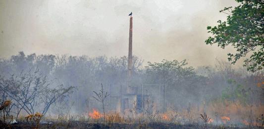 Incendios en la Amazonía registran en agosto segundo mayor número en 10 años