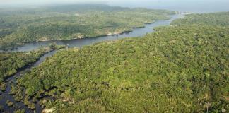 Colombia y Brasil asestan duro golpe a la minería ilegal en la Amazonía