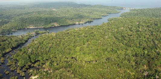 La Corte IDH lleva el debate sobre las emergencias climáticas a la Amazonía brasileña