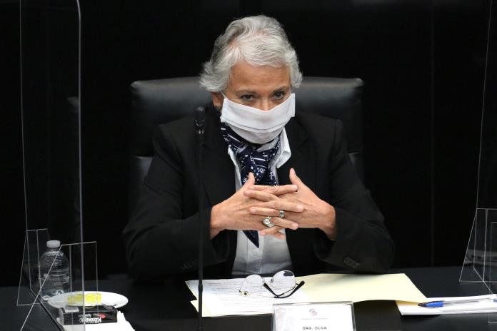 Gobierno de México descarta toques de queda y sanciones por la pandemia