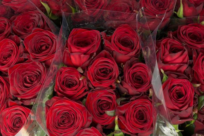 El precio de las rosas se triplica para el 14 de febrero