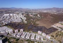 Zapopan lanza vivero forestal en zona protegida; colectivos exigen freno a daños en el Nixticuil