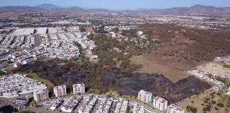 Zapopan lanza vivero forestal en zona protegida; colectivos exigen freno a daños en el Nixticuil